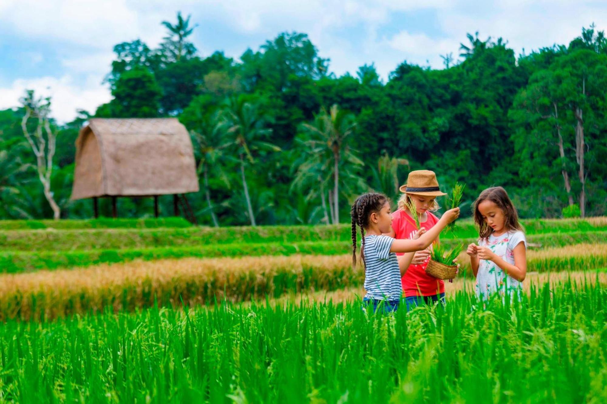 Mandapa, A Ritz-Carlton Reserve Ubud Exteriér fotografie