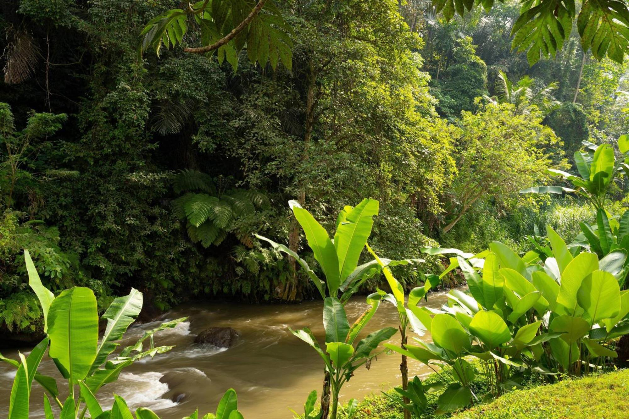 Mandapa, A Ritz-Carlton Reserve Ubud Exteriér fotografie